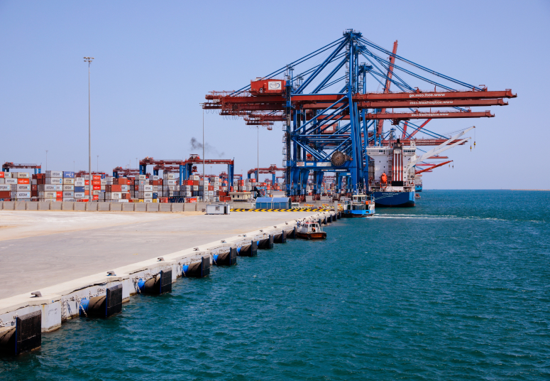 الفعاليات Gallery