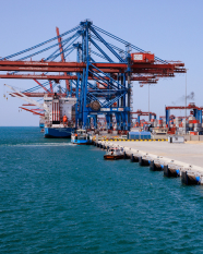 الفعاليات Gallery